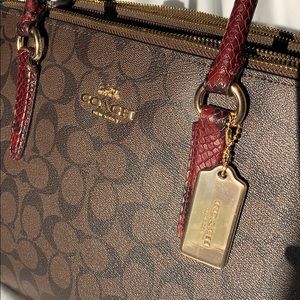 GORGEOUS Coach Exotic Surry